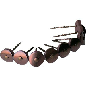 y[J[݌ɂz ()_Ch[ng _Ch[ng XeXAPB 14×38 uY 9{×10A 10102297 HDX