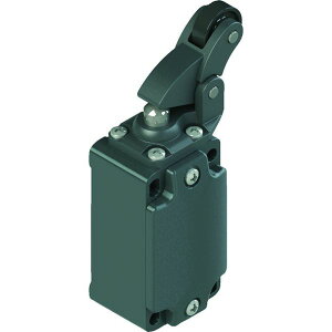 �y���[�J�[�݌ɂ���z FD605 �s�b�c�@�[�g Pizzato ���~�b�g�X�C�b�` FD�^�C�v6 �����E�F�C���[��05�` FD HD�X