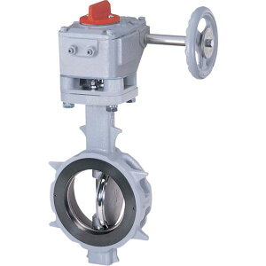 �y���[�J�[�݌ɂ���z �o�^�t���C�o���u JIS10K/80A 304YA-2U SCS13A/SCS13A/R-PTFE �M�A 304YA-2U-80-S-R HD�X