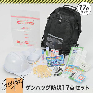 �y���[�J�[�݌ɂ���z GBBS01 �����N�T�X(��) �����N�T�X �Q���o�b�O�h��17�_�Z�b�g GB-BS01 HD�X