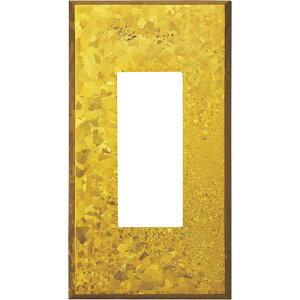 �y���[�J�[�݌ɂ���z PXPAC01KY (210027184)PXP-AC01-KY�X�C�b�`�v���[�g�E�R���Z���g�v���[�g PXP-AC01-KY HD�X