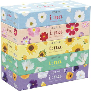 y[J[݌ɂz 21001219 ()EBS GG[ i]naeBV150W5P(713618/21001219) 713618 HDX