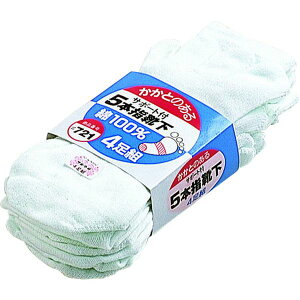 y[J[݌ɂz ӂ() ӂ JJgt5{w TV 4g 721 HDX