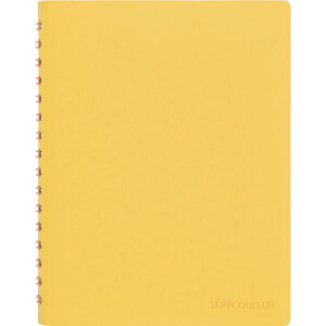 y[J[݌ɂz N76904 }}() }} A6 m[g ZvgN[ CG[ N769-04 HDX