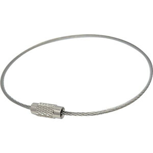 【メーカー在庫あり】 SKE100 (株)ニッサチェイン ニッサチェイン ステンレスキーワイヤー(100個入) SKE-100 HD店