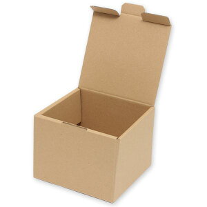 【メーカー在庫あり】 (株)シモジマ HEIKO ナチュラルボックス 無地 Z-109 10枚入り 006204109 HD店