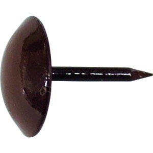 y[J[݌ɂz ()_Ch[ng _Ch[ng HP ֎qe  20{ 10183190 HDX