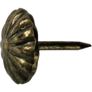 y[J[݌ɂz ()_Ch[ng _Ch[ng HP ee 10{ 10183194 HDX