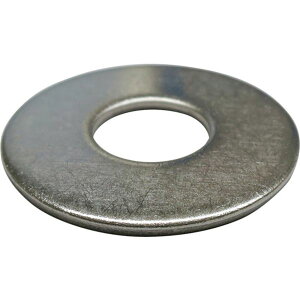 【メーカー在庫あり】 (株)ダイドーハント ダイドーハント HP ステンレスワッシャー 6mm用 25x2.0 2枚入 10186615 HD店