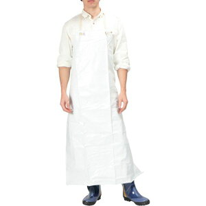 y[J[݌ɂz 19001M ()JWCN JWCN 1900 ^[|tO|  M 1900-1-M HDX