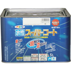 y[J[݌ɂz ()ATqy ATqy X[p[R[g 5L  416216 HDX