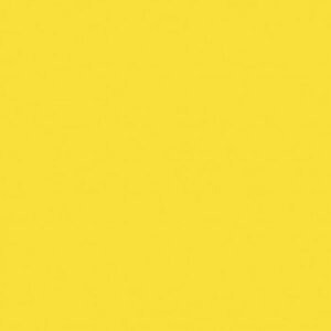 y[J[݌ɂz |[OfBE ANG118ml 11 vC}[CG[ 524611 HDX