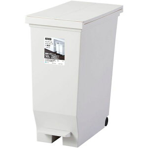 y[J[݌ɂz AXx() AXx Go Jy_y[30L zCg 630392 HDX