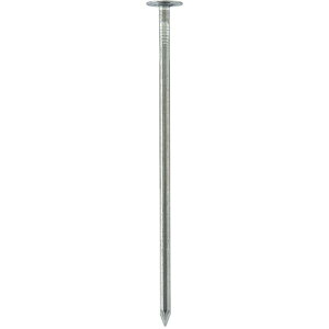 y[J[݌ɂz Y() WAKAI 哪B 5×150 720W515 HDX