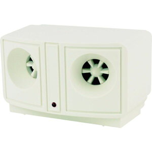 y[J[݌ɂz ()i DAISHIN lY~gފ튣dr 900932 HDX