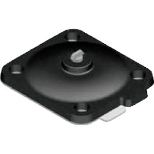 �y���[�J�[�݌ɂ���z BW125DF (��)�t�W�L�� �t�W�L�� PTFE/BUTYL�_�C���t���� BW1-25DF HD�X