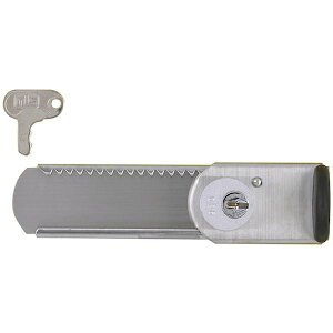 �y���[�J�[�݌ɂ���z DSH15 (��)���{���b�N�T�[�r�X NLS �͂���[�ʌ��t(���R�^�p�b�N) DS-H-15 HD�X