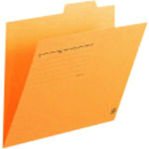 y[J[݌ɂz FL061IF10YL vX() vX 294588)ʃtH_- FL-061IF A4E  10 FL-061IF(10) HDX