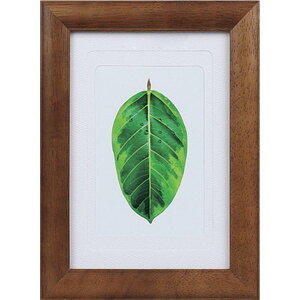 y[J[݌ɂz PSGMBR 1250173 ʐ^ S̖ uE PS-GM-BR PS-GM-BR HDX