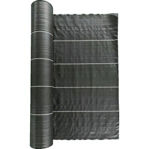 y[J[݌ɂz TBO520100BK gXRR() TRUSCO hV[g ό5N  2mx100m TBO5-20100-BK HDX