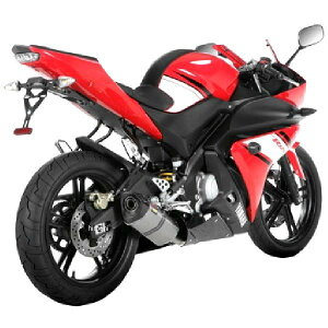 AN|rb` AKRAPOVIC tGL][Xg [VOC wbNX 14Nȍ~ YZF-R125 `^ E4dl S-Y125R4-HRT JPX