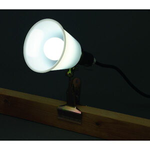�y���[�J�[�݌ɂ���z ILW45GBC3 569993 PROLEDS LED�N���b�v���C�g�h�H�^ (40�`����) ILW-45GBC3 JP�X