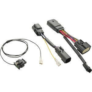 �yUSA�݌ɂ���z �`�� CIRO INSTALLATION �L�b�g TAC -10 LIGHTS ROADGLIDE - STREETGLIDE 2001-2920 JP�X