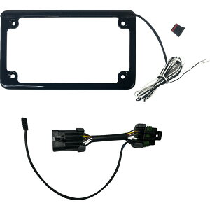yUSA݌ɂz JX^ _Ci~NX Custom Dynamics LICENSE v[g FRAME SXS RZR PRO ubN 2030-2390 JPX