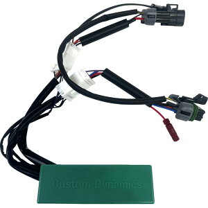 �yUSA�݌ɂ���z �J�X�^�� �_�C�i�~�N�X Custom Dynamics ���W���[�� SMART TRIPLE PLAY RBT RZR PRO 2050-0512 JP�X