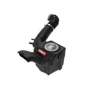 �yUSA�݌ɂ���z aFe POWER Momentum GT Pro Dry S Intake System 16-19 Ford Fiesta ST L4-1.6L (t) afe56-70041D JP�X