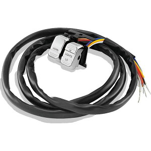 �yUSA�݌ɂ���z Twin Power 96-13 Big Twin XL V-Rod Chrome Horn/Dimmer Switch Replaces H-D 71597-96 71682-06A twp601696 JP�X