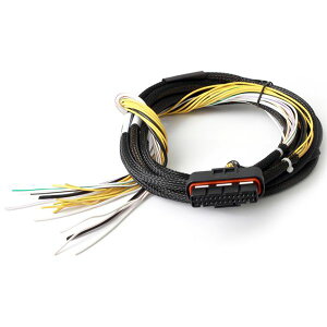 �yUSA�݌ɂ���z Haltech HPI8 High Power Igniter 2m Flying Lead (Loom Only) halHT-040025 JP�X