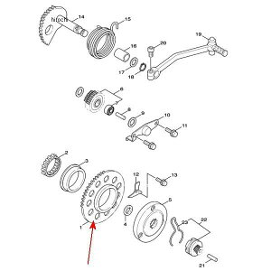 y[J[݌ɂz }n zC[ X^[^ 5TY-E5524-00 JPX