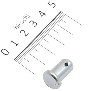 �J���T�L���� �s�� �X�v�����O 10X12 43009-001 JP�X