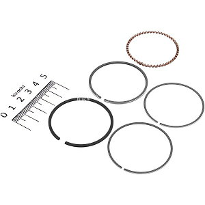 y[J[݌ɂz |bV POSH sXgOZbg 48mm Ci L[12VAS12V 270094 JPX