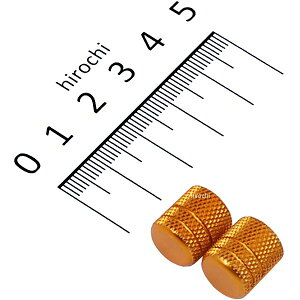 y[J[݌ɂz |bV POSH GA[ouLbv A~ 2 S[h 000801-04 JPX