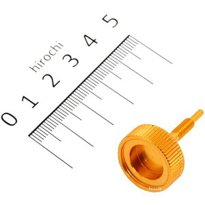 y[J[݌ɂz |bV POSH AChAWX^[ PC20Lu^[p L[AS S[h 270324 JPX