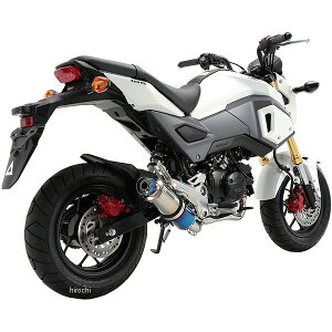 r[X BEAMS tGL][Xg R-EVO 16Nȍ~ O `^ G175-53-007 JPX