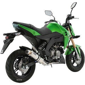 r[X BEAMS tGL][Xg R-EVO 16Nȍ~ Z125PRO XeX G424-53-008 JPX