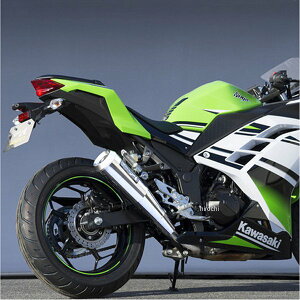 }g[VO XbvI}t[ 13N-14N jW250 Kz XeX 40252-01NMN JPX