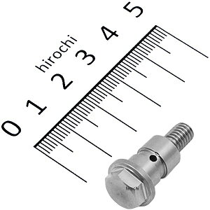 �y���[�J�[�݌ɂ���z �V�t�g�A�b�v ��C�pM6�o���W���[�{���gSUS�@APE/XR/NSF�p 201001-97 JP�X