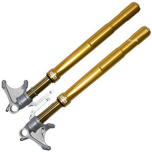 I[Y OHLINS tgtH[N 08N-14N BMW S1000RR FG R&T NIX S[h FGRT202 JPX