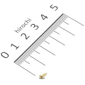 y[J[݌ɂz z_ _bNX ST50 XN[ xbg 1.8×5 90841-001-000 JPX