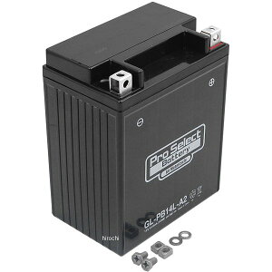 【メーカー在庫あり】 プロセレクト PROSELECT バイク用 バッテリー ジェルタイプ GL-PB14L-A2 YB14L-A2互換 (液入り充電済み) PSB133 JP店