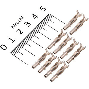 y[J[݌ɂz NTB M{V[q X JTLECJ[ 10 G08-10 JP