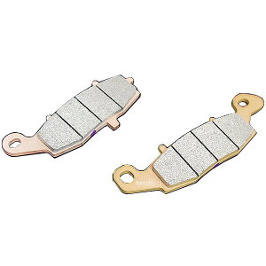 h~RNV tgu[Lpbh [t@[1100A[t@[400 RSp  20231 JPX