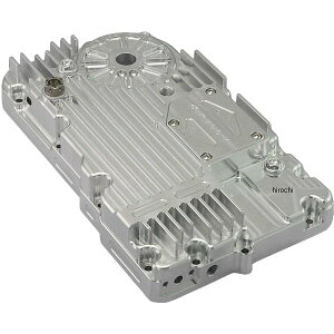 h~RNV A~rbgICp [t@[1100 30125 JPX