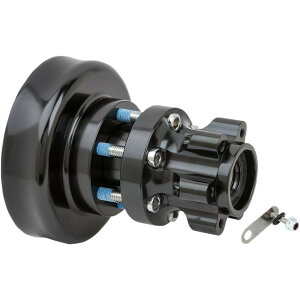 �yUSA�݌ɂ���z �A�����l�X Arlen Ness HUB RR 14-CHIEF BK W/TPMS 0213-0826 JP�X