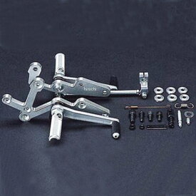 楽天市場 ゼファー X バック ステップの通販