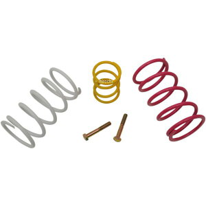 �yUSA�݌ɂ���z EPI �N���b�`�L�b�g ���[�e�B���e�B �W���T�C�Y�^�C���p 15�N-18�N �J���T�L KAF 800 Mule Pro FX 1140-0693 JP�X